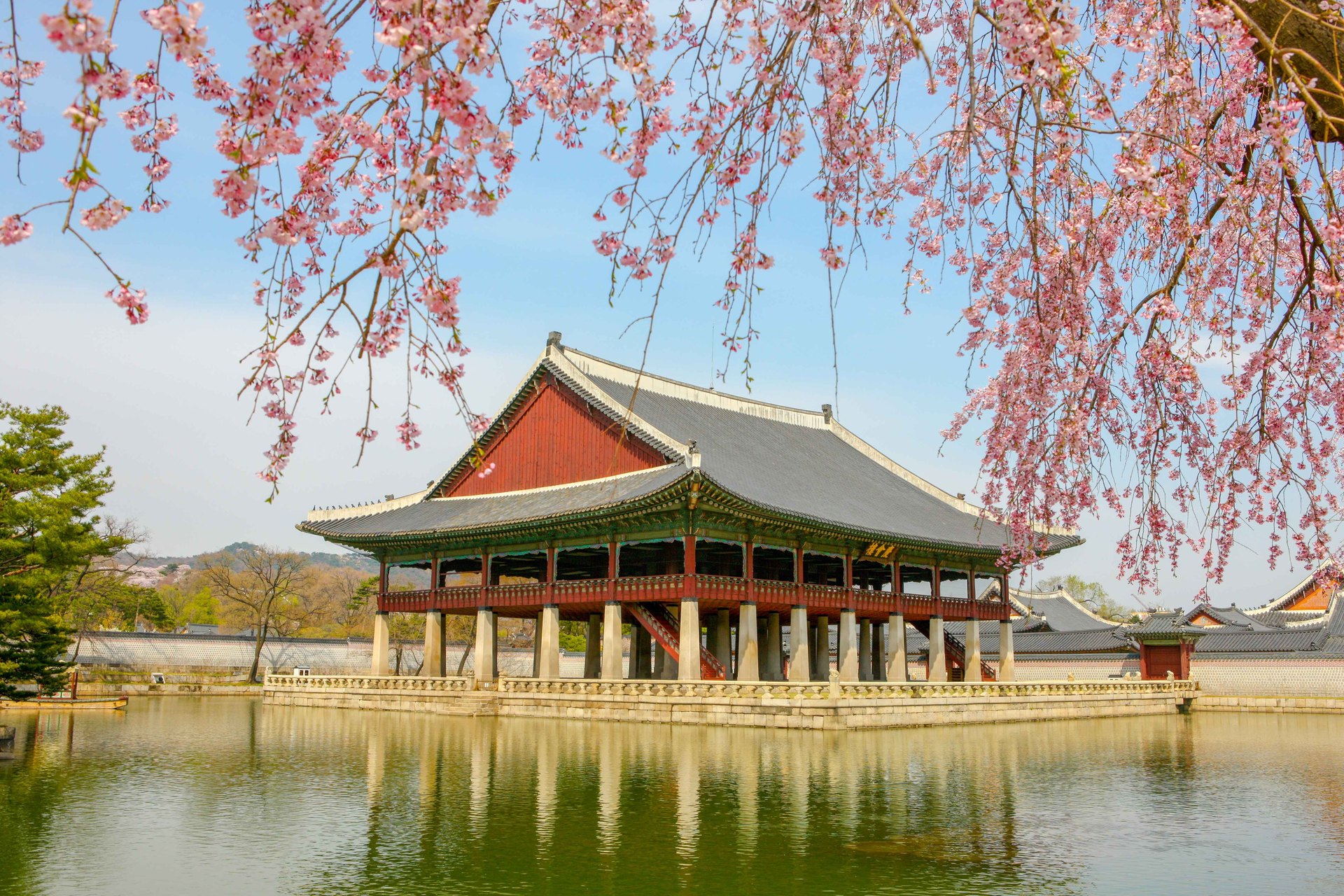Gyeonghoeru Pavilion at Gyeongbokgung Palace framed by cherry blossoms over the pond in spring